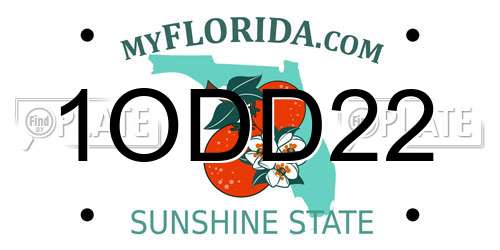 1ODD22 Florida License Plate