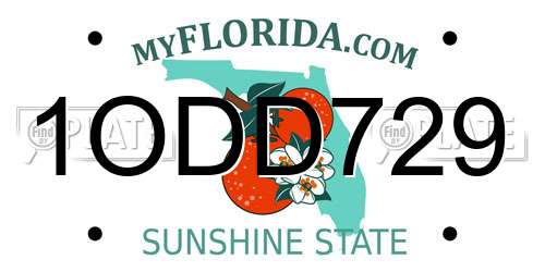 1ODD729 Florida License Plate