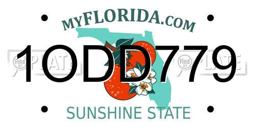 1ODD779 Florida License Plate