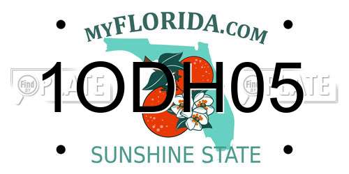 1ODH05 Florida License Plate