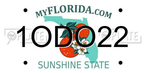 1ODO22 Florida License Plate