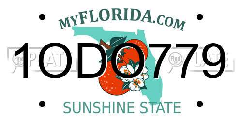 1ODO779 Florida License Plate