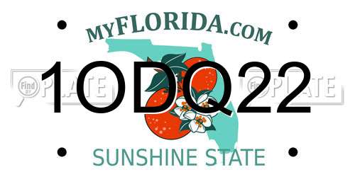 1ODQ22 Florida License Plate