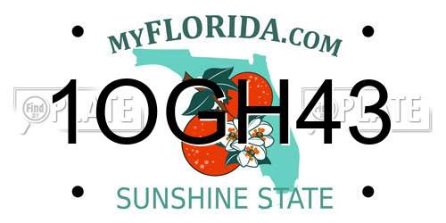 1OGH43 Florida License Plate