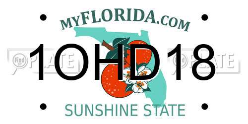 1OHD18 Florida License Plate