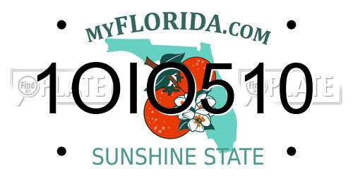 1OIO510 Florida License Plate