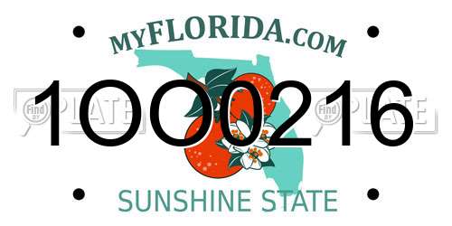 1OO0216 Florida License Plate