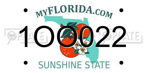 1OO022 Florida License Plate