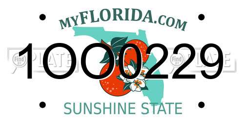 1OO0229 Florida License Plate