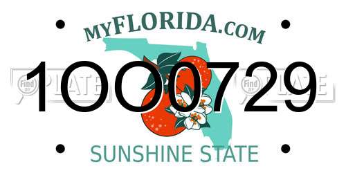 1OO0729 Florida License Plate