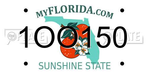 1OO150 Florida License Plate