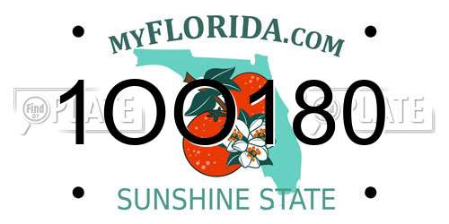 1OO180 Florida License Plate