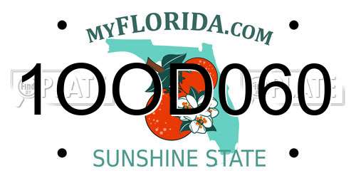 1OOD060 Florida License Plate