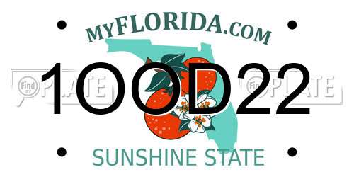 1OOD22 Florida License Plate