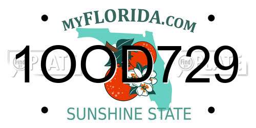 1OOD729 Florida License Plate