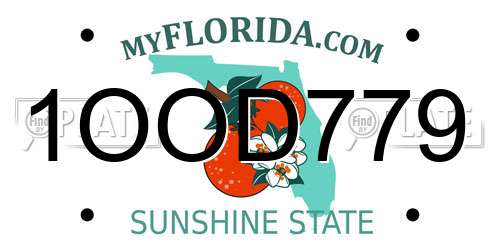 1OOD779 Florida License Plate