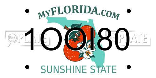 1OOI80 Florida License Plate