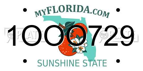 1OOO729 Florida License Plate