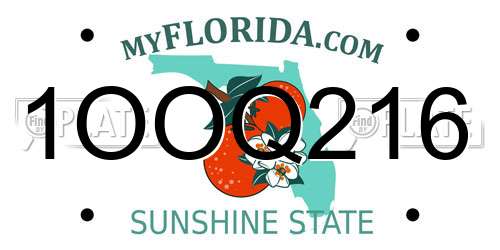 1OOQ216 Florida License Plate