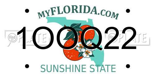 1OOQ22 Florida License Plate