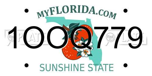 1OOQ779 Florida License Plate