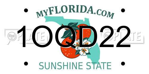 1OQD22 Florida License Plate