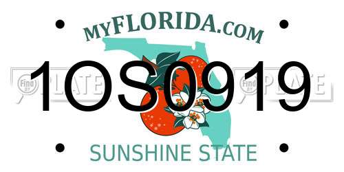 1OS0919 Florida License Plate