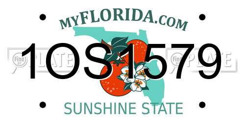 1OS1579 Florida License Plate