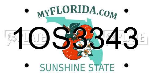 1OS3343 Florida License Plate