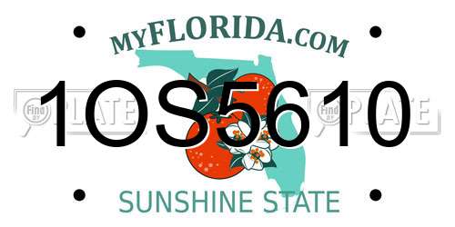 1OS5610 Florida License Plate