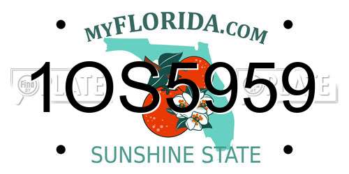 1OS5959 Florida License Plate