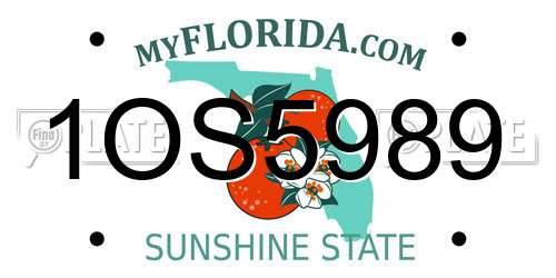 1OS5989 Florida License Plate