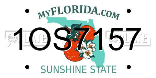 1OS7157 Florida License Plate