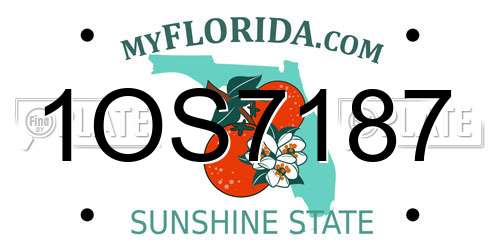 1OS7187 Florida License Plate