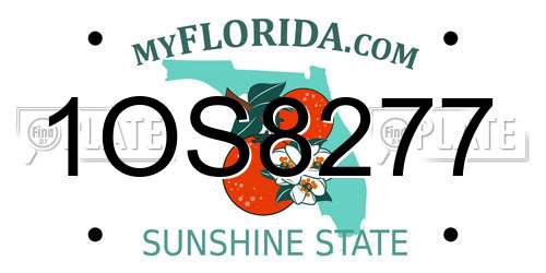 1OS8277 Florida License Plate