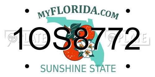 1OS8772 Florida License Plate