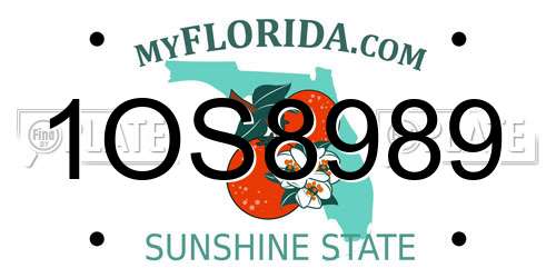 1OS8989 Florida License Plate