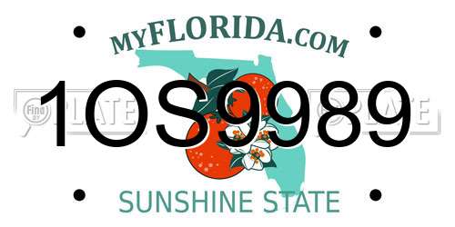 1OS9989 Florida License Plate