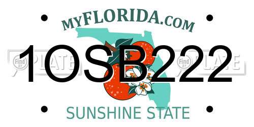 1OSB222 Florida License Plate