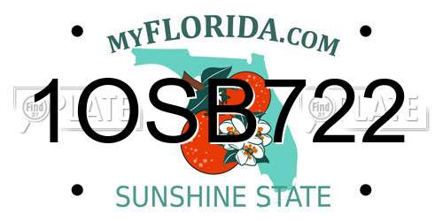 1OSB722 Florida License Plate