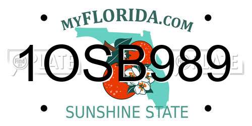 1OSB989 Florida License Plate