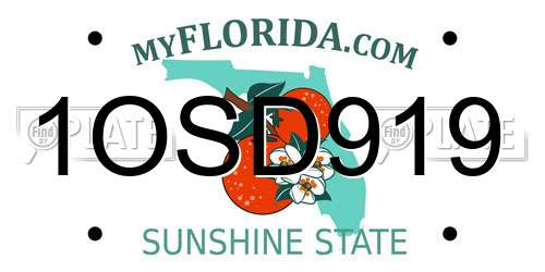 1OSD919 Florida License Plate