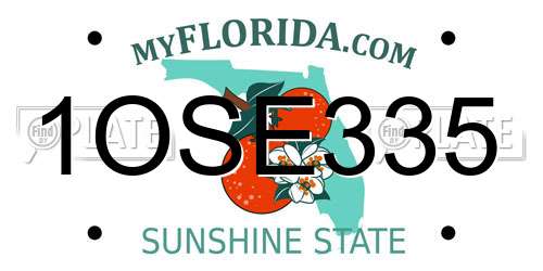 1OSE335 Florida License Plate