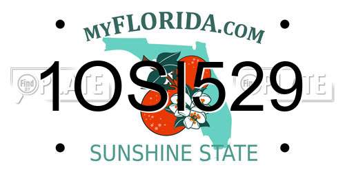 1OSI529 Florida License Plate