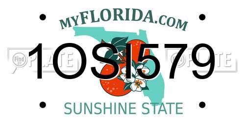 1OSI579 Florida License Plate