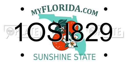 1OSI829 Florida License Plate