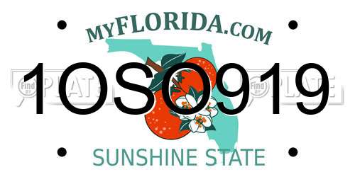 1OSO919 Florida License Plate