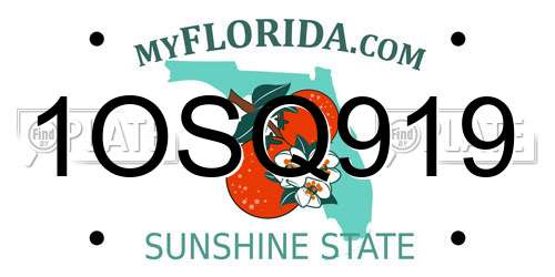 1OSQ919 Florida License Plate