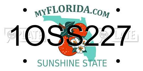 1OSS227 Florida License Plate