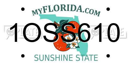 1OSS610 Florida License Plate
